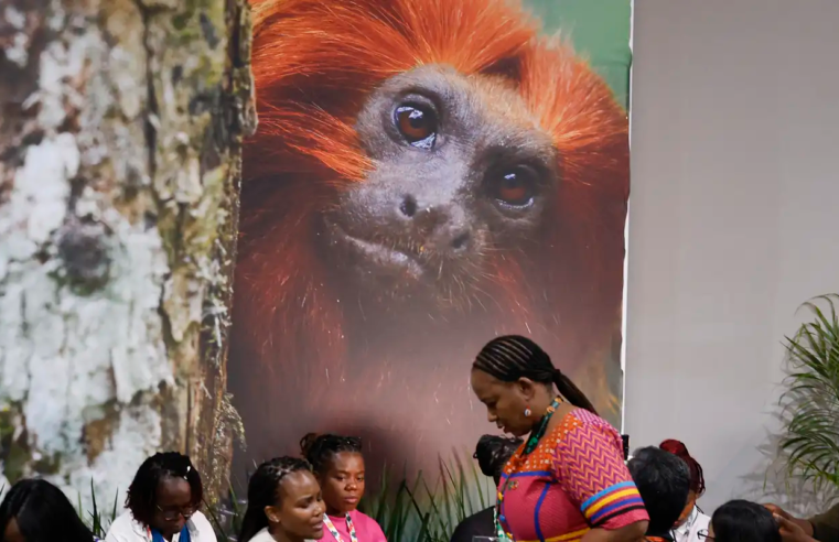 COP30: financiamento, transição e adaptação são centro das negociações