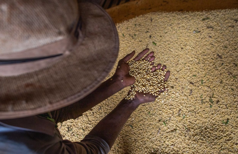 Livro aborda produção sustentável em meio à mudança climática