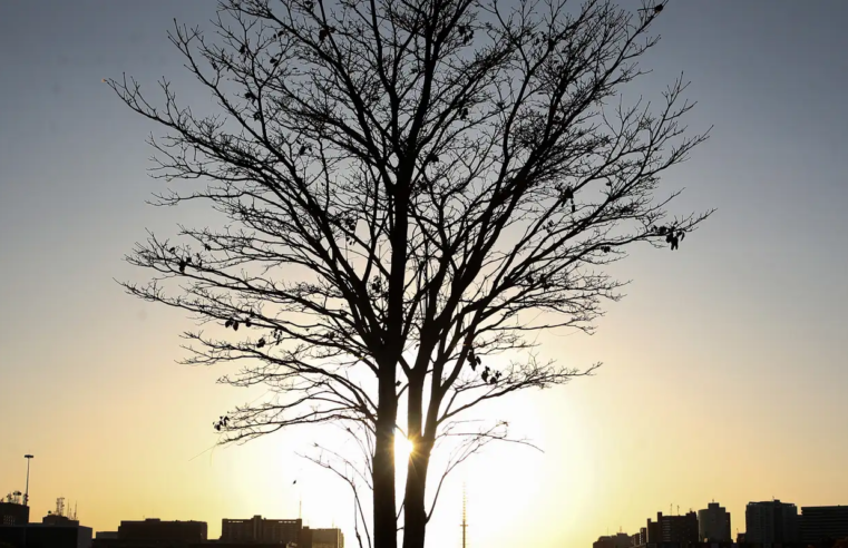 Cientista alerta para risco de aquecimento global por longo tempo