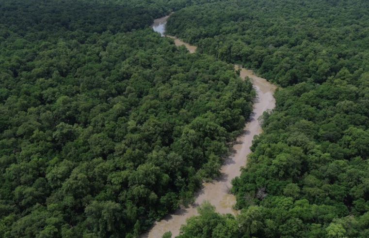 Áreas protegidas são quase metade da Amazônia Legal, mostra IBGE