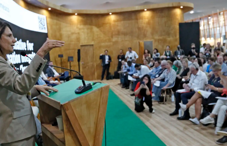 Países lançam na COP declaração para enfrentar desinformação climática