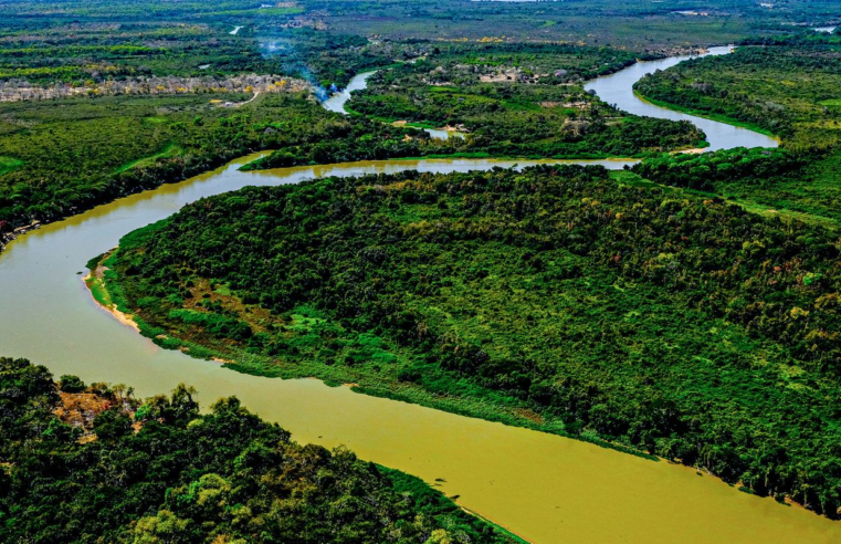 Relatório do MapBiomas revela Pantanal reconfigurado em 40 anos