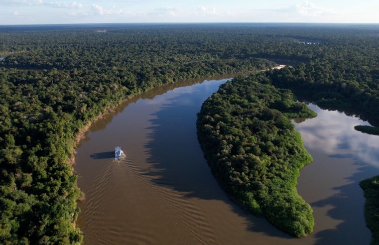 Redução do desmatamento na Amazônia foi histórica, avalia ICMBio