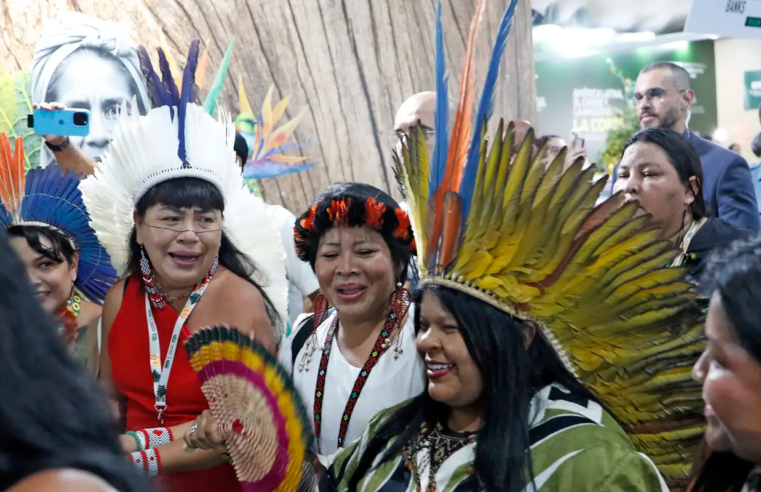 COP30 colocou pauta indígena no centro do debate global, diz ministra