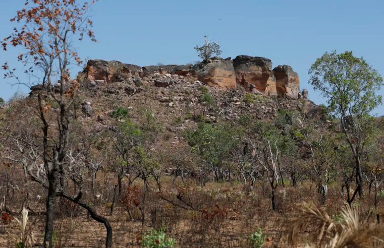 Agência Brasil lança primeira reportagem da seleção Nádia Franco