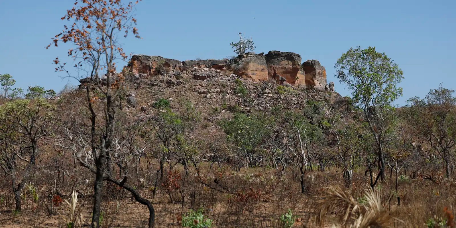 Agência Brasil lança primeira reportagem da seleção Nádia Franco