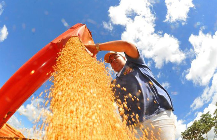 Agropecuária ajudou oito estados a crescerem mais que o Brasil em 2023