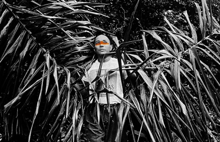 Exposição em SP propõe diálogos sobre gênero, sexualidade e natureza