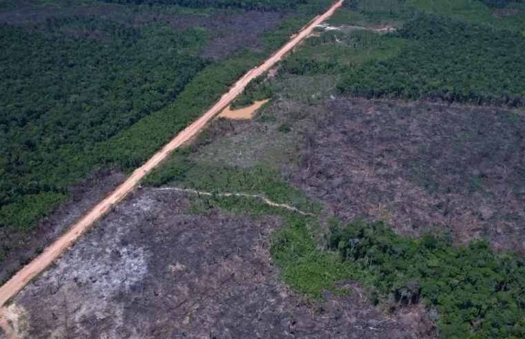 Vias ilegais perto da BR-319 avançam em áreas protegidas na Amazônia