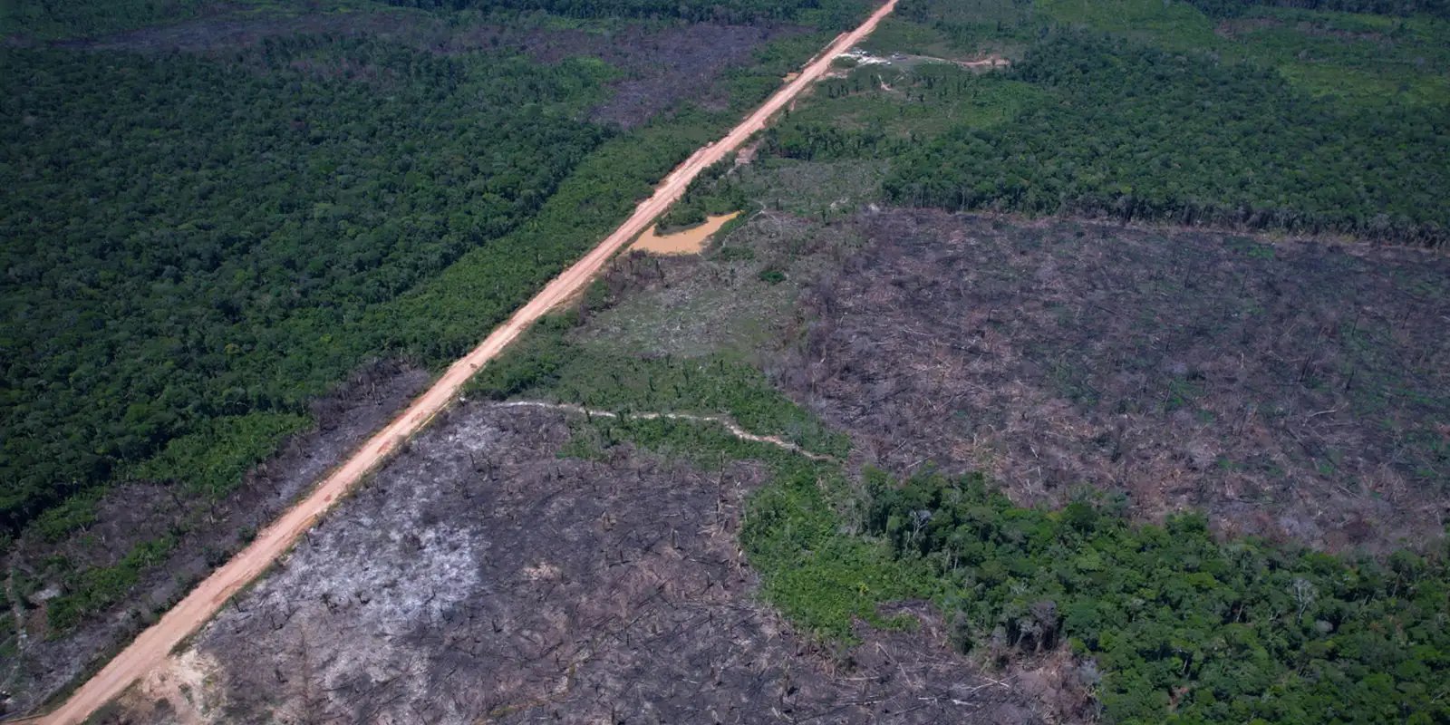 Vias ilegais perto da BR-319 avançam em áreas protegidas na Amazônia
