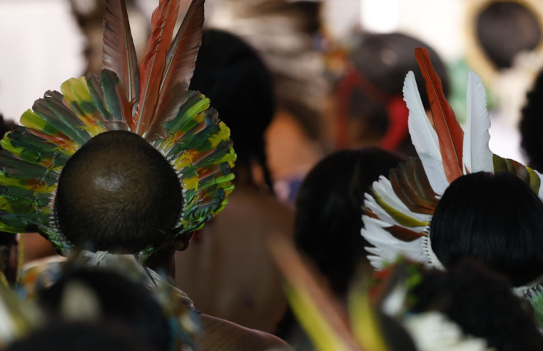 Demarcar terras dá segurança a quem protege o meio ambiente, diz MJ