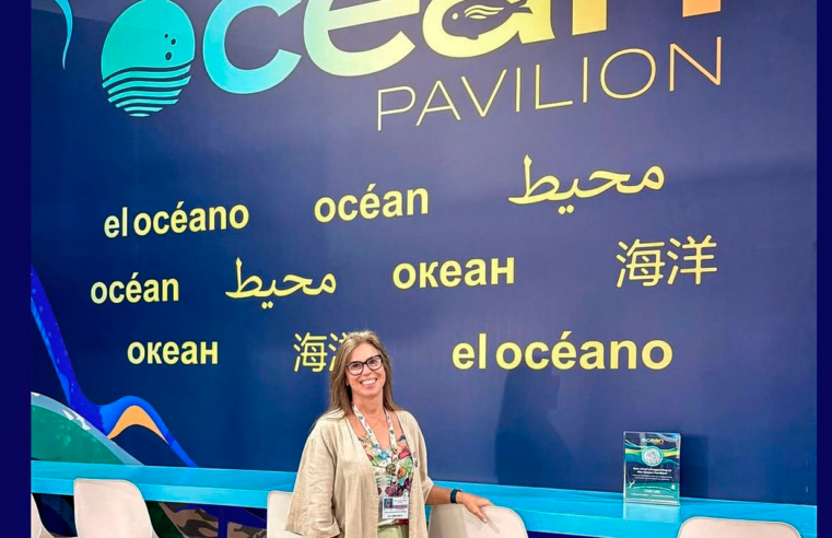 COP30: oceanos podem cortar 35% das emissões de CO₂ até 2050