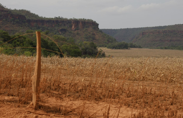 Fronteira Cerrado: acesso desigual ao Estado agrava conflitos agrários