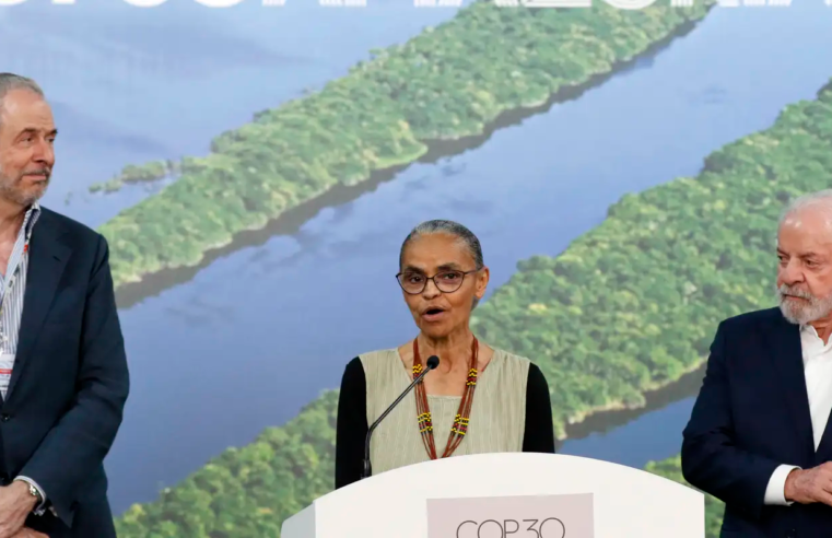 Alemanha dará 1 bilhão de euros para florestas tropicais, diz Marina