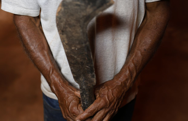 Fronteira Cerrado: desmatamento gera conflitos por terra e grilagem