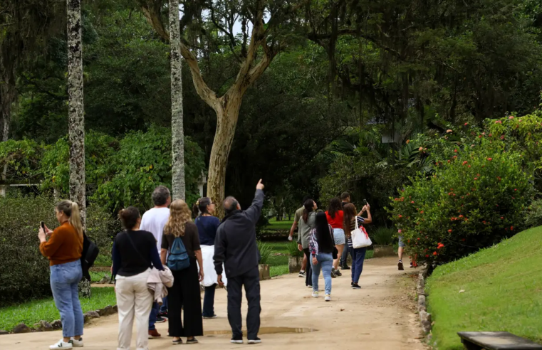 Dia da Consciência Negra: Jardim Botânico do Rio tem programa especial