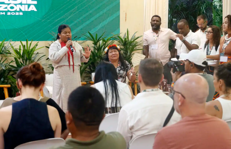 COP30: 19 projetos vão recuperar 3,3 mil hectares em terras indígenas