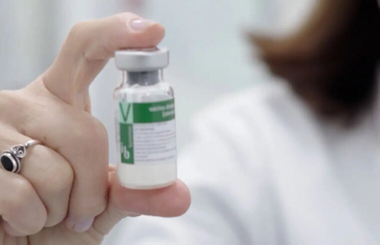 Anvisa publica registro da vacina contra a dengue do Butantan