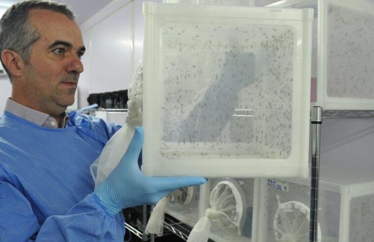 Brasileiro criador do “Aedes” que bloqueia dengue é eleito pela Nature