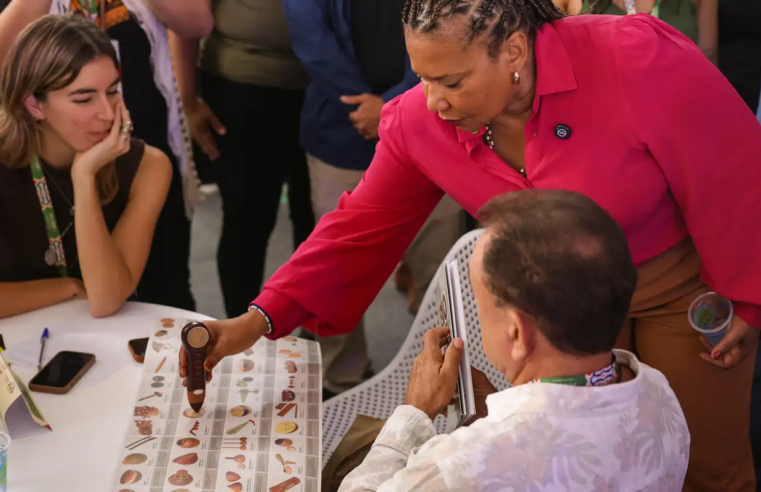 Mercado das Indústrias Criativas fecha negócios culturais para 2026