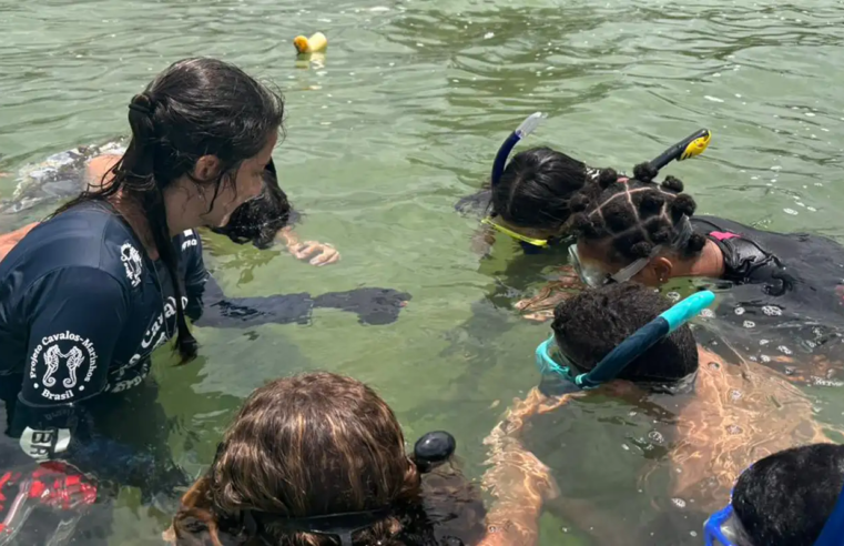 Projeto no Rio forma guardiões de cavalos-marinhos de 12 a 14 anos