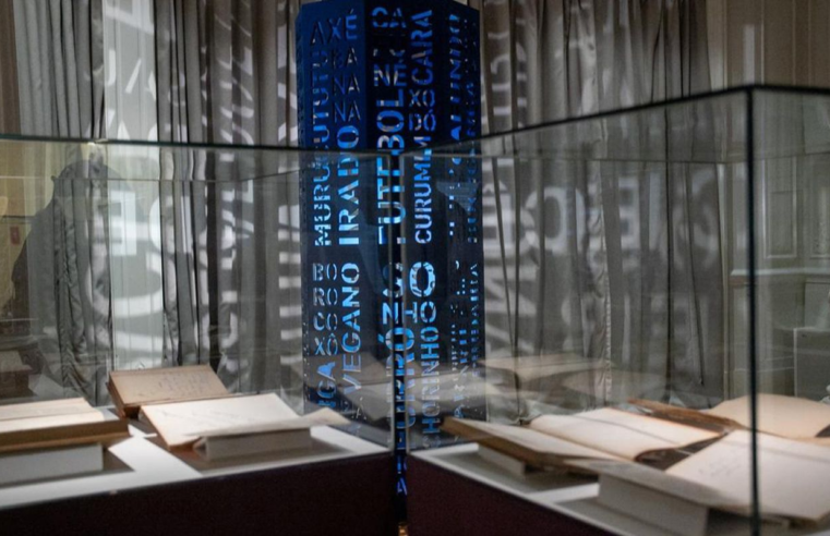 Exposição em Brasília celebra 50 anos do Dicionário Aurélio