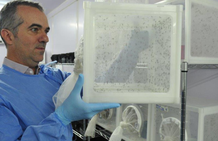 Brasileiro criador do "Aedes" que bloqueia dengue é eleito pela Nature