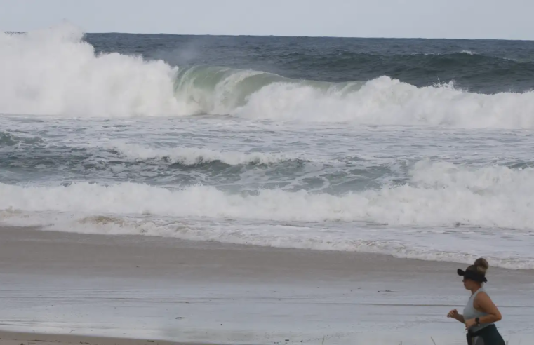 Consciência ambiental cresce em áreas com projetos de longa duração