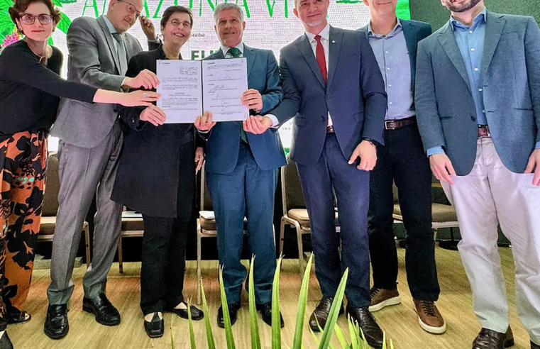 Fundo Amazônia: cadeias produtivas de florestas terão R$ 96,6 milhões