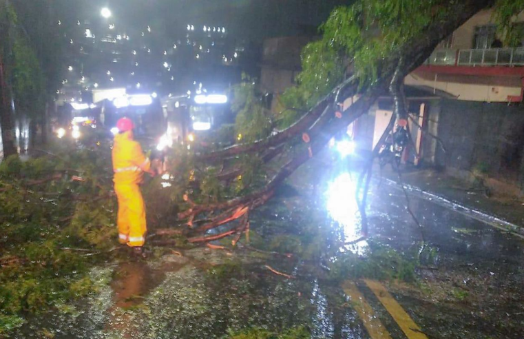 Ciclone deixa 2 milhões de clientes sem energia em São Paulo