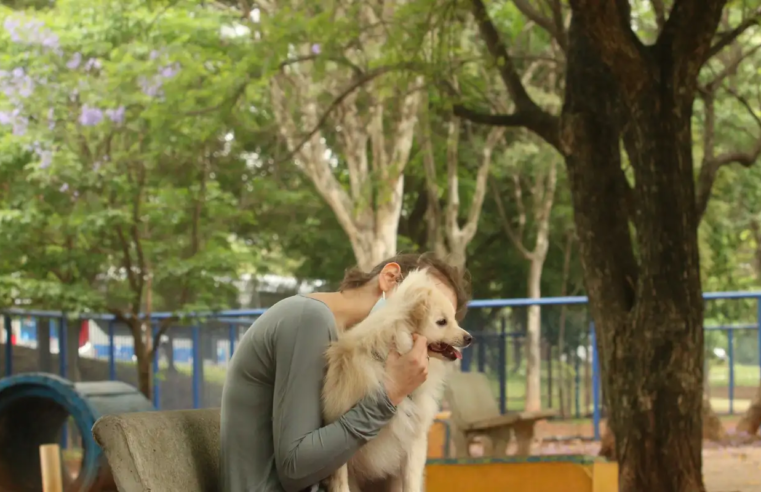 Cade aprova fusão entre Petz e Cobasi com restrições