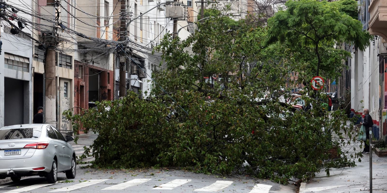 Prefeitura fecha todos os parques de São Paulo por causa dos ventos