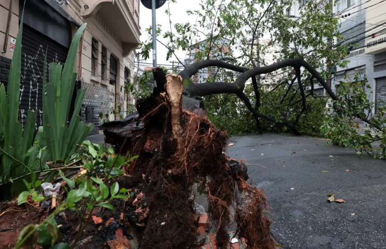São Paulo enfrenta ventos de quase 100 km/h nesta quarta-feira