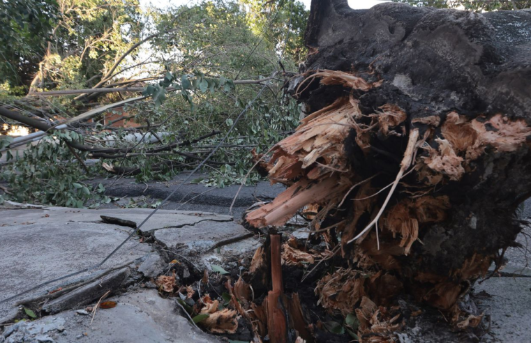 MIDR reconhece situação de emergência em 21 municípios 
