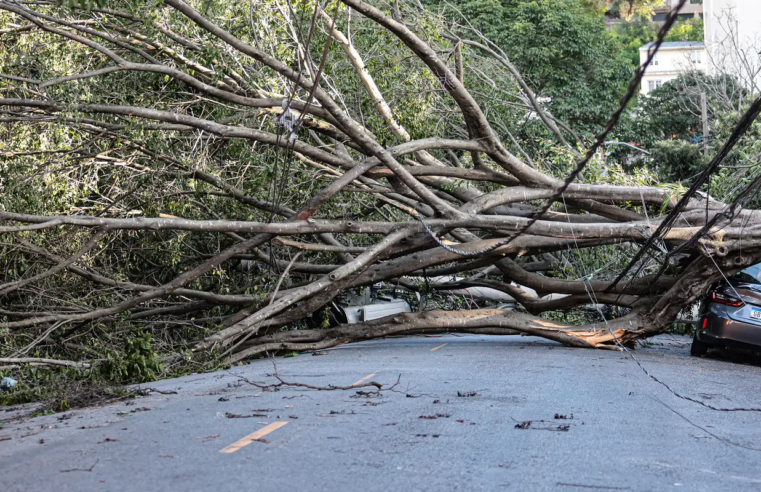 Mais de 1,3 milhão de imóveis continuam sem energia elétrica em SP