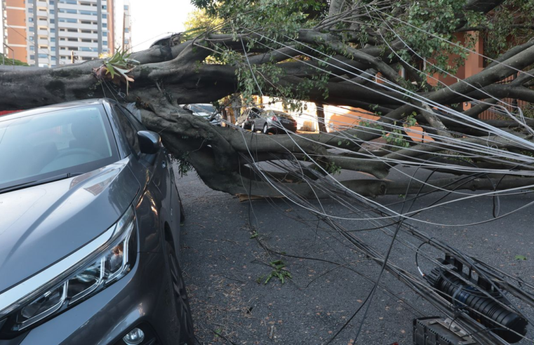 Cinco dias após ciclone, 30 mil clientes estão sem energia em SP