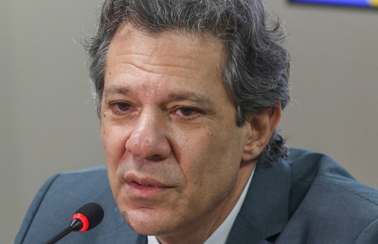 Haddad confirma que pretende deixar governo em fevereiro