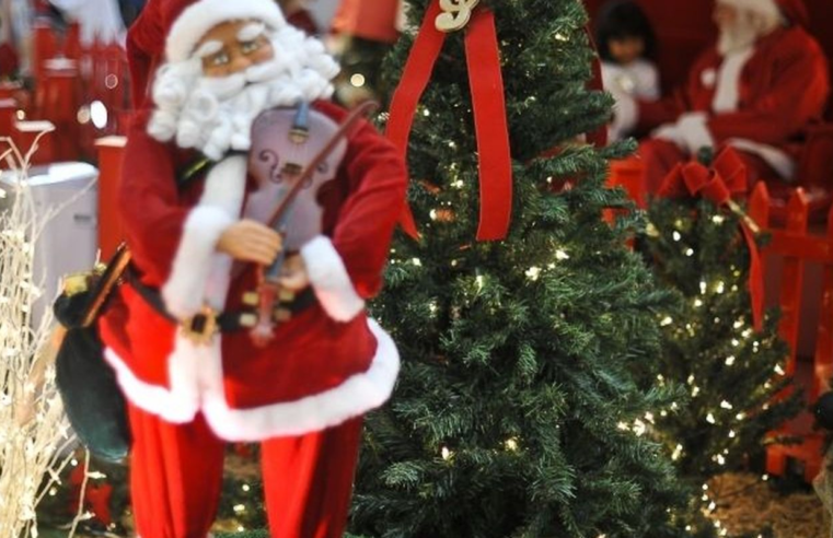 Hoje é Dia: Natal, ecologia e Cristina Buarque são destaques