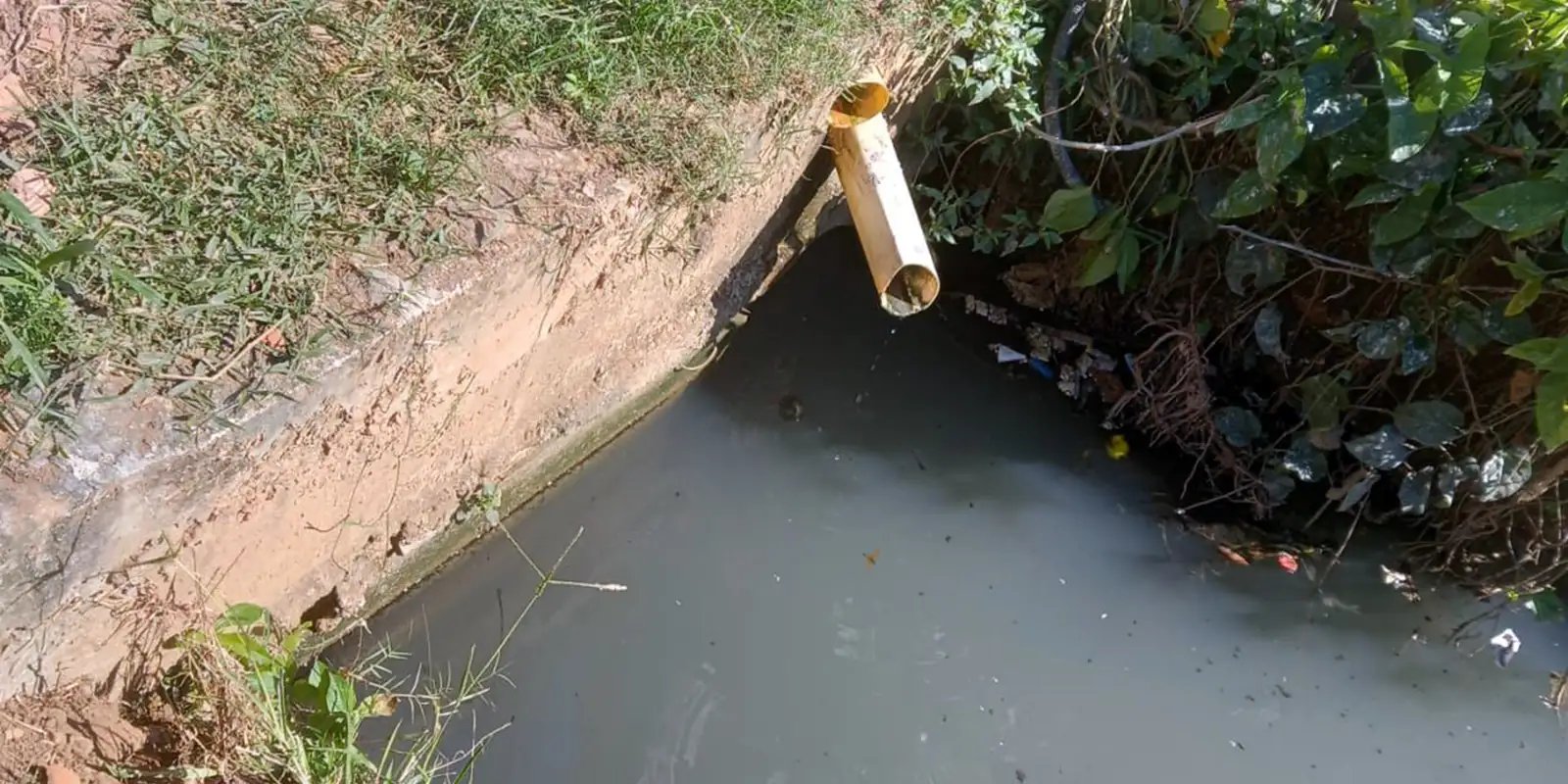 Quilombo em Cabo Frio denuncia despejo de esgoto na comunidade