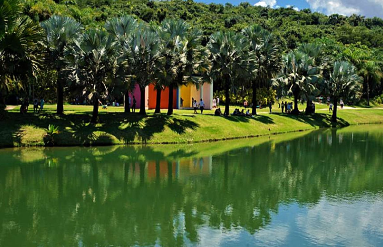 Museu Inhotim, em Minas Gerais, tem recorde de visitação em 2025