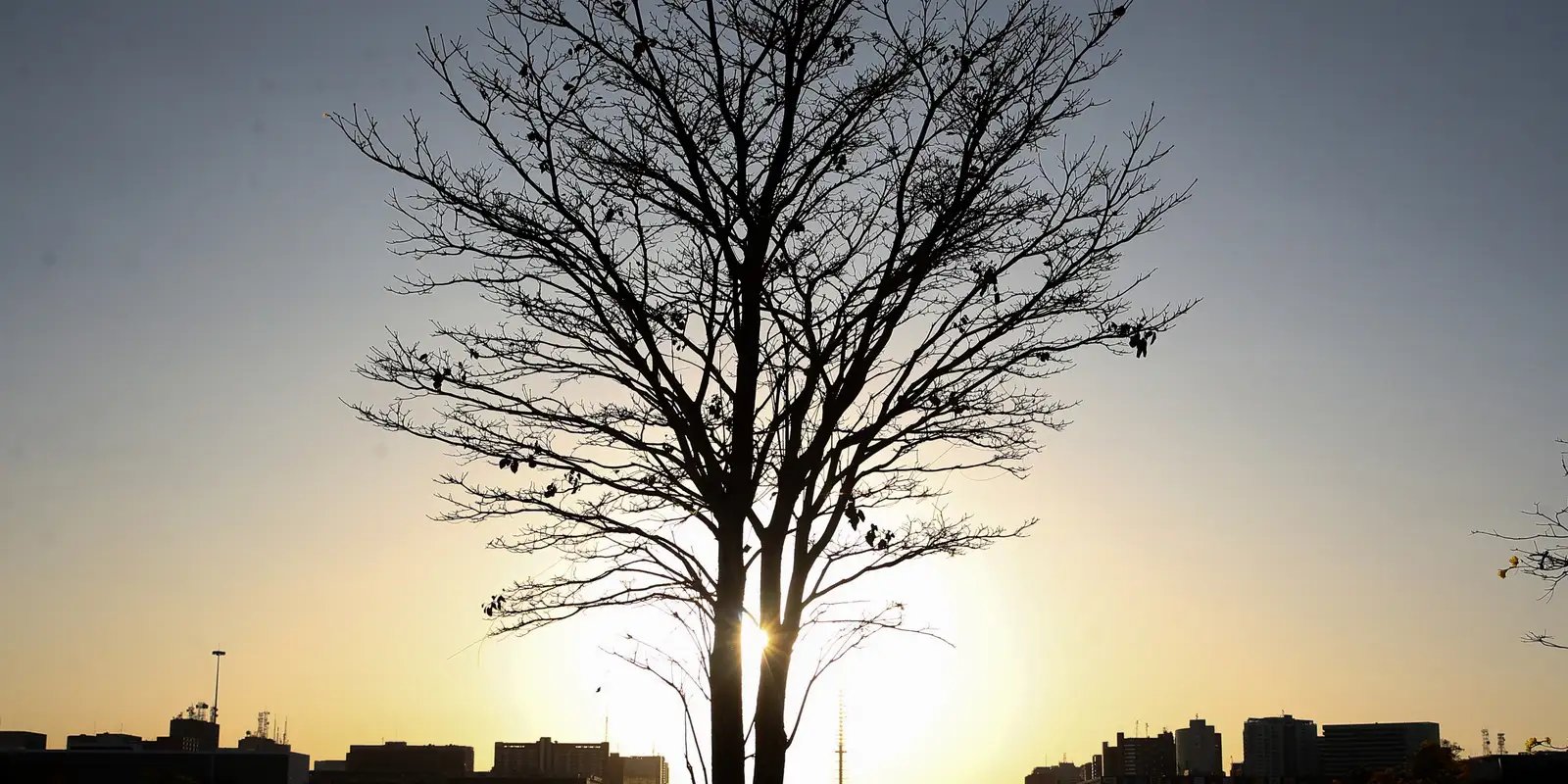 Duas pesquisadoras da Uerj participam do seleto grupo do IPCC da ONU