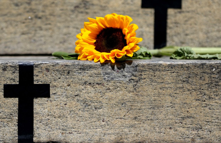 Crimes recentes mostram grave cenário de violência contra a mulher