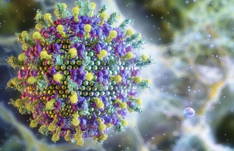 Nipah: saiba mais sobre o vírus que preocupa a Ásia