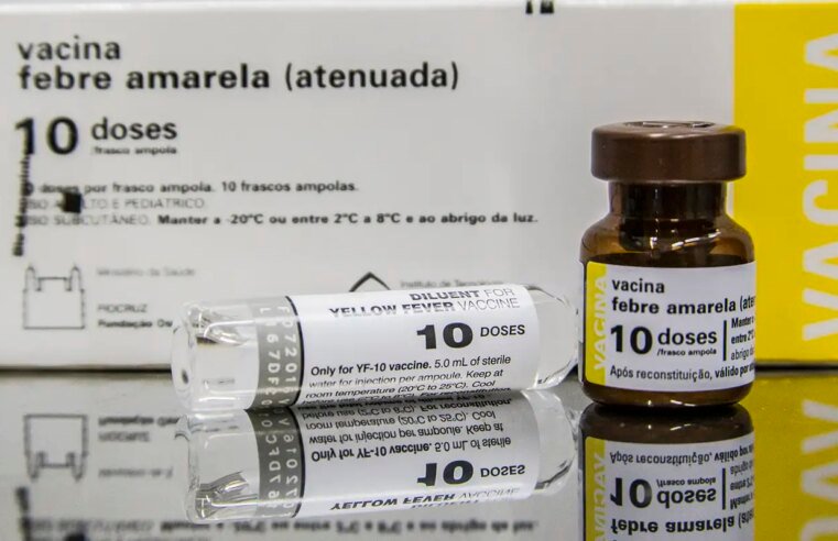 SP: quem tomou vacina fracionada da febre amarela deve completar ciclo
