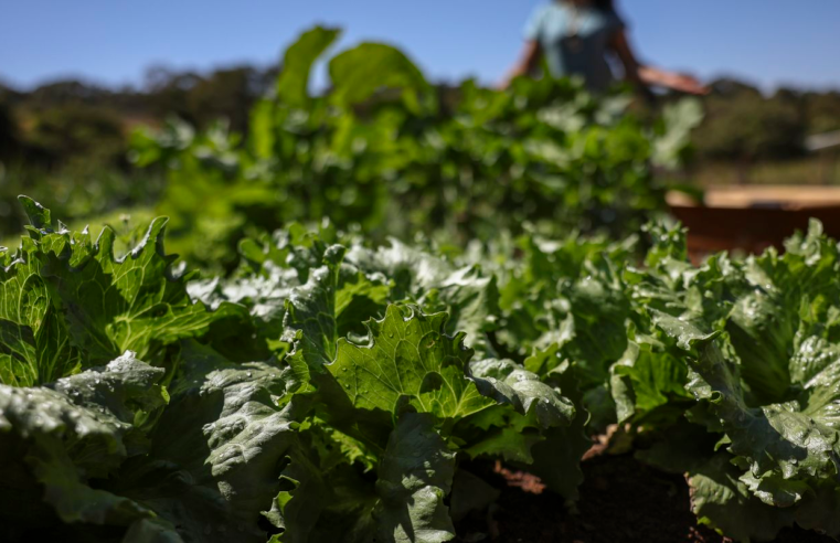 Acordo garante terras a 3 mil famílias em assentamentos no Paraná