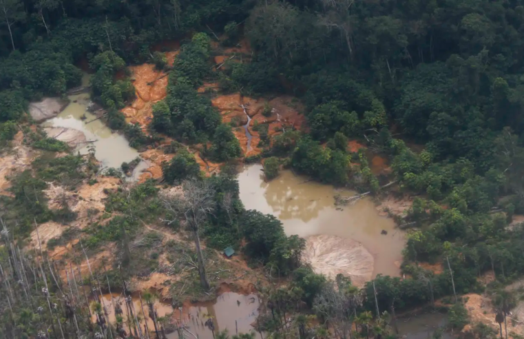 Edital prorroga inscrições para restauração em terras indígenas