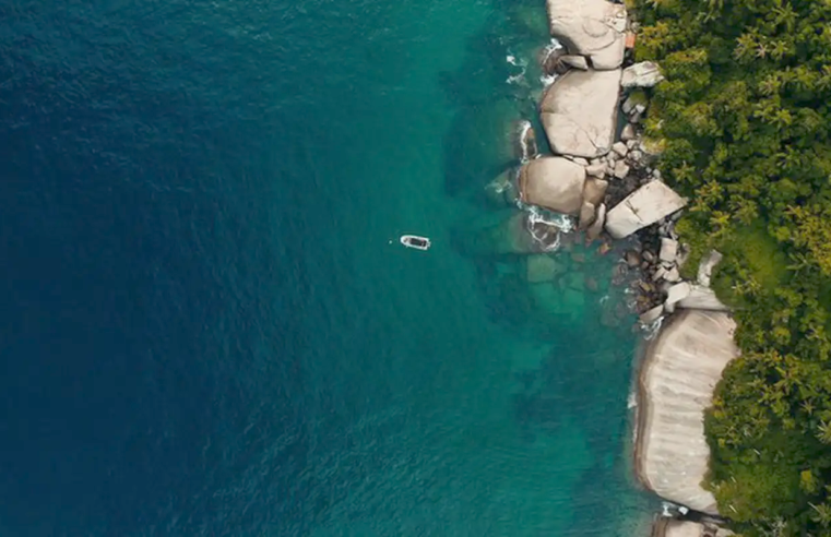TV Brasil exibe documentário com iniciativas de preservação da costa