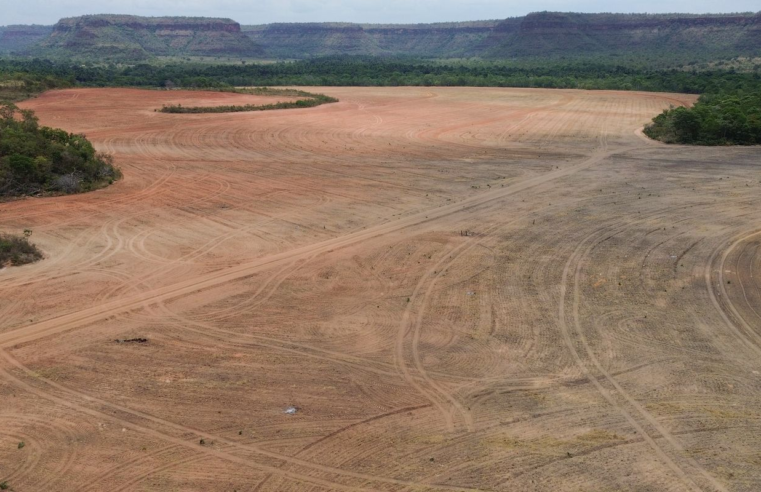 Processadoras de soja deixam acordo sobre desmatamento na Amazônia