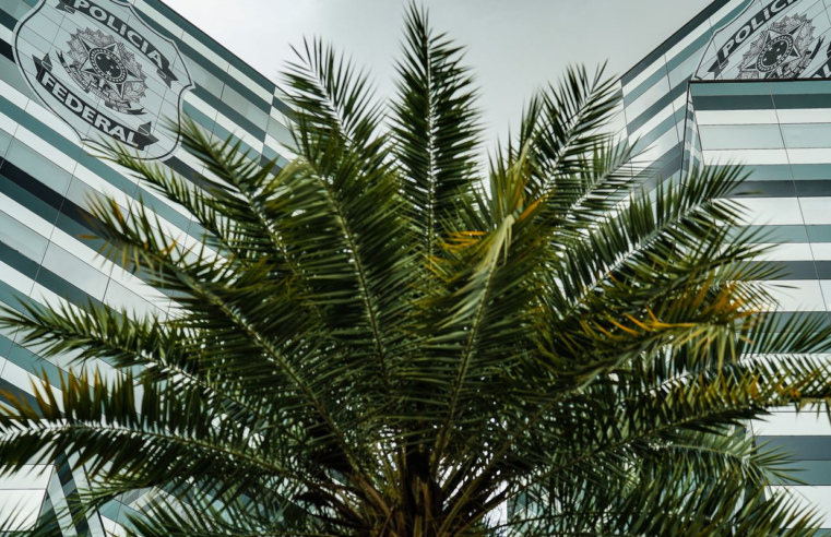 PF adia depoimentos de três investigados no inquérito do Banco Master