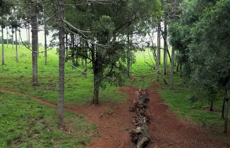 Produção inédita resgata histórico Caminho do Peabiru na TV Brasil